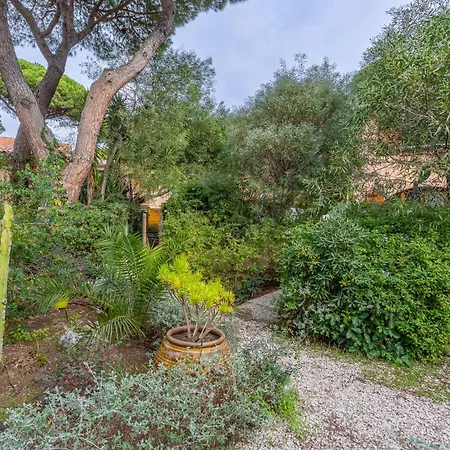 Jean D'agreve-2 By Interhome Feriehus Hyères